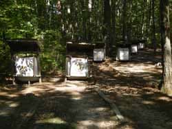 3D archery course winding through wooded terrain
