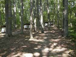 Archery practice area with multiple target distances