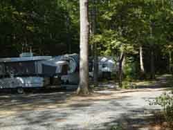 Campsite with fire ring and picnic area under the trees
