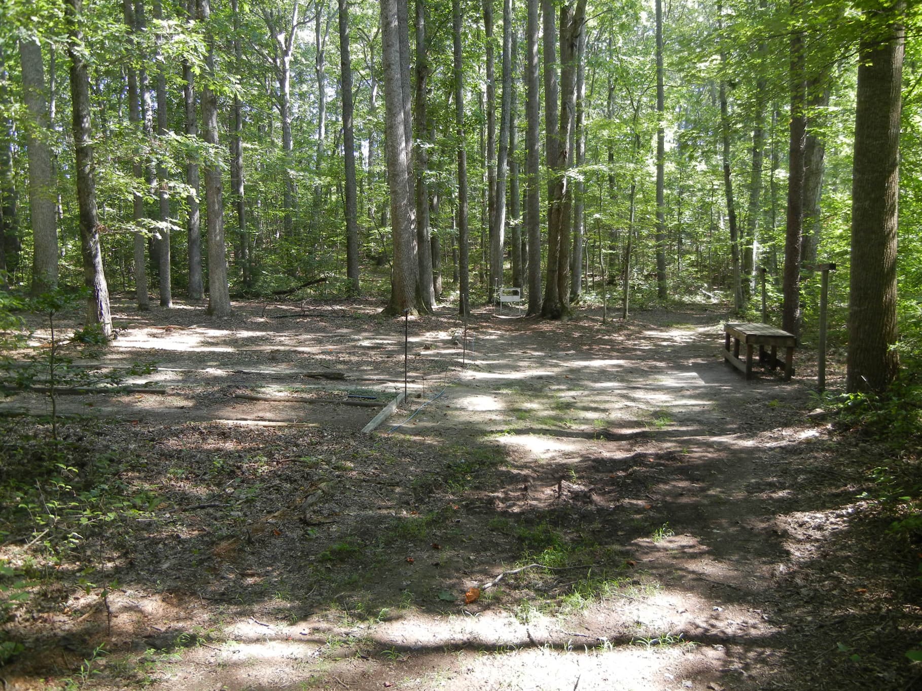3D animal targets on the woodland archery trail