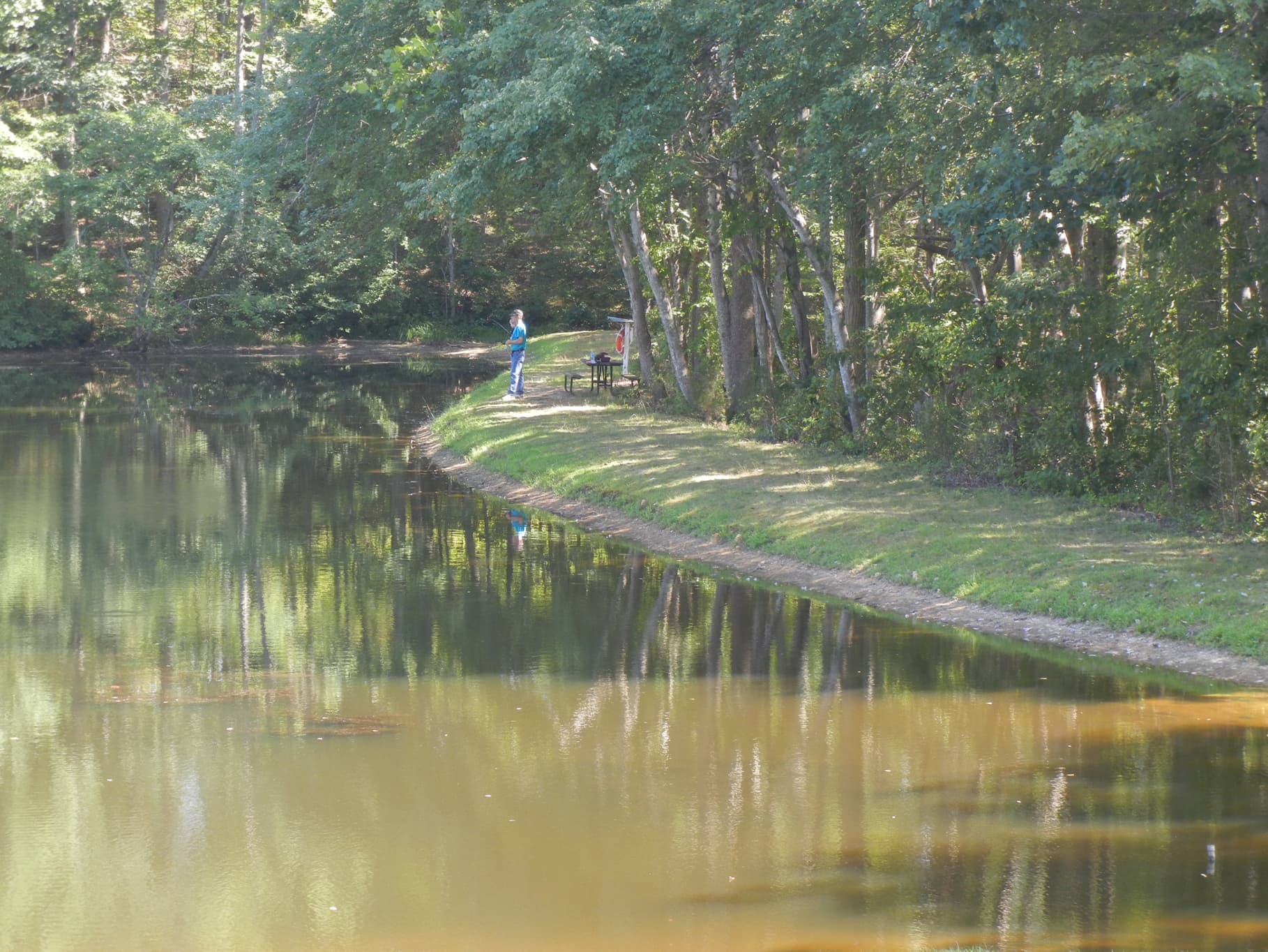 Lower fishing pond with natural habitat preservation