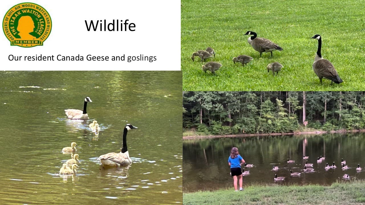 Chapter slideshow image 10